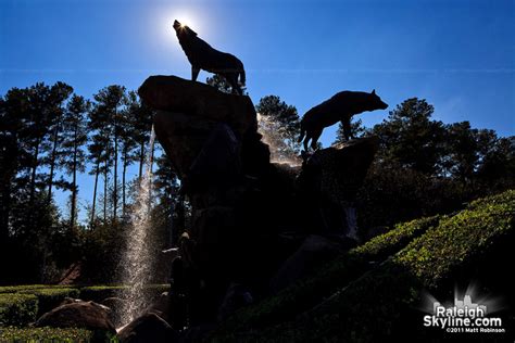 NC State Wolfpack Statue and fountain at Carter Finley Stadium - RaleighSkyline.com - Original ...