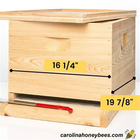 Langstroth Hive Dimensions: Beekeeper's Guide - Carolina Honeybees