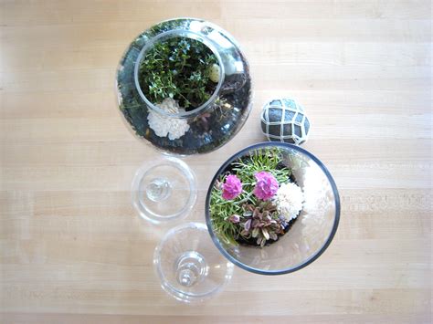 by way of ney: DIY: terrarium