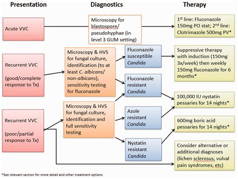 Vulval Candidiasis Treatment