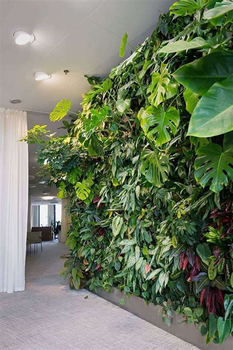 Indoor Garden Design Ideas - 10 Great options - Indoor Gardening