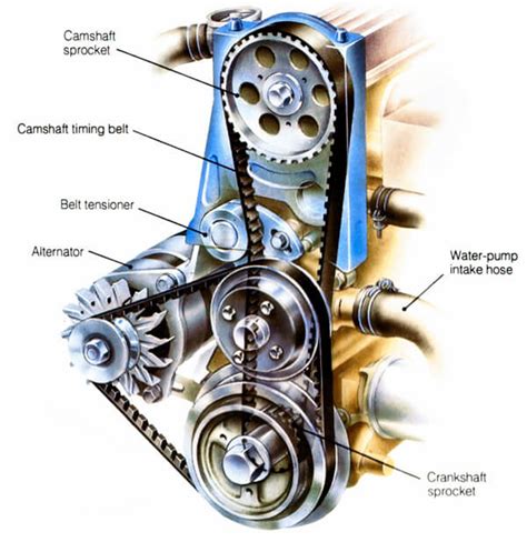 Timing Belt Diagram Timing Belt Diagram Maintenance Replacement | My ...