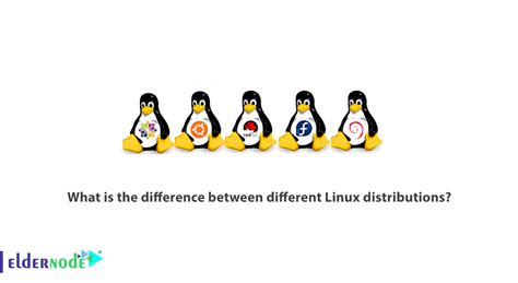 What is the difference between different Linux distributions?