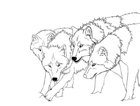 Realistic Wolf Drawing Step By Step at GetDrawings | Free download