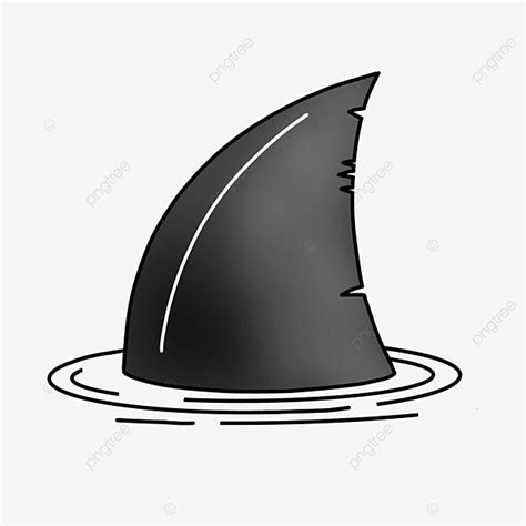 Shark Fin Hd Transparent, Shark Fin Clip Art, Shark Fin Clipart, Shark ...