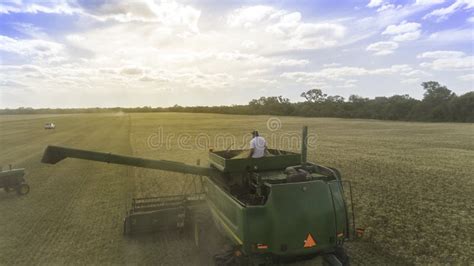 Wheat harvest with machine editorial stock photo. Image of corn - 187178703