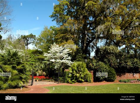 Florida Maclay Gardens in spring Stock Photo - Alamy