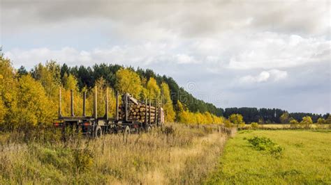 Timber Truck with Logs on the Forest Road Stock Photo - Image of road, trucking: 45244774