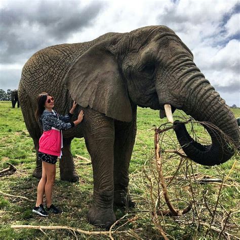 Knysna Elephants Park, Knysna, Garden Route, South Africa