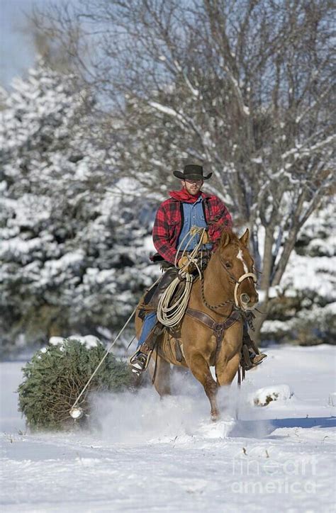 Cowboy christmas... | Cowboy christmas, Horses, Cowboy