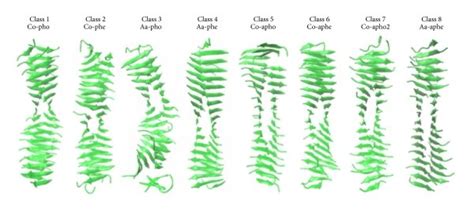 (a) Structural models of amyloid fibrils. These structural models are... | Download Scientific ...