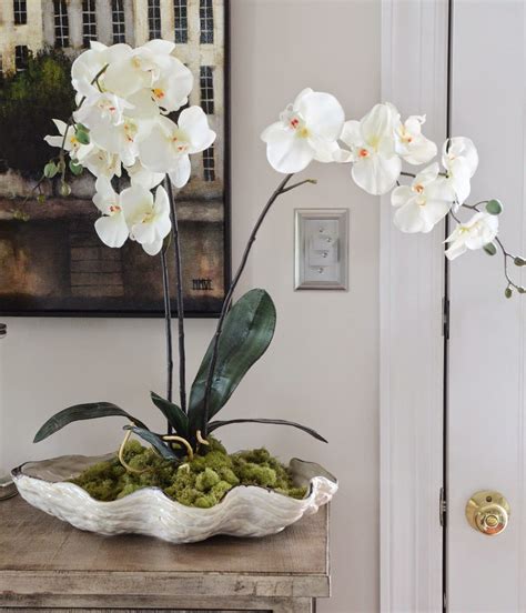 ORCHIDS IN A SHELL DIY - StoneGable | Indoor orchids, Orchid pots ideas ...