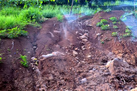 Soil Erosion Pictures In The Philippines - pic-potatos