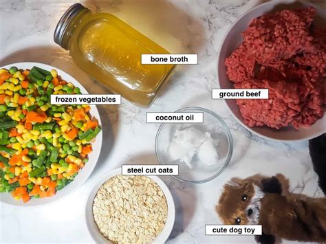 How to Make Homemade Dog Food - Stovetop Directions - Southern Bytes