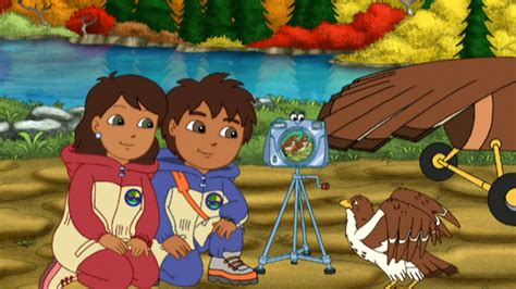 Watch Go, Diego, Go! Season 2 Episode 11: Jorge the Little Hawk Learns ...