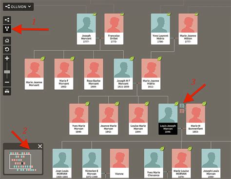 How to Navigate an Ancestry Member Tree