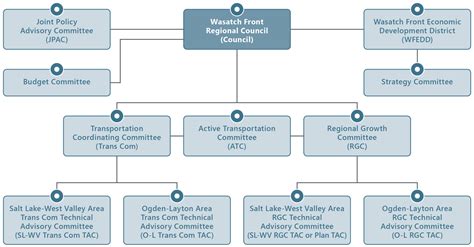 Committee Structure