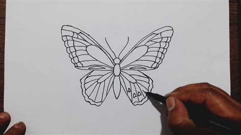 Butterfly Drawing Cute Simple Aesthetic Drawings Easy