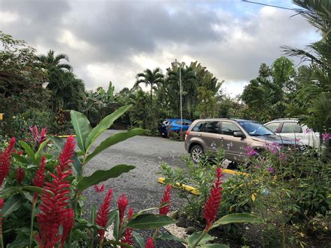 HOTEL ROCA NEGRA DEL ARENAL ::: LA FORTUNA, COSTA RICA ::: COMPARE ...