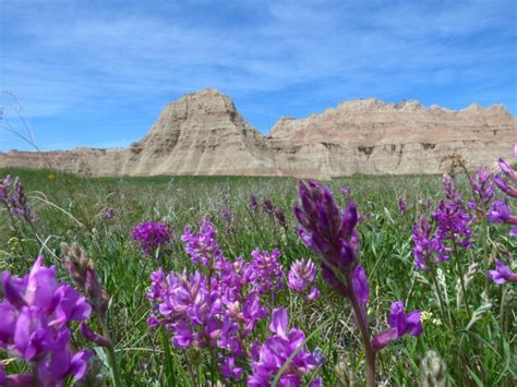 Best Time to Visit Badlands National Park + Free Badlands National Park ...