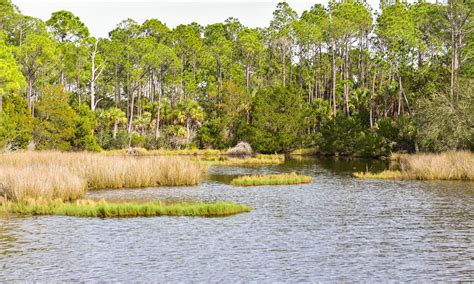 Cedar Key Alojamientos vacacionales - Florida, Estados Unidos | Airbnb