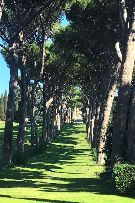 Papal Palace of Castel Gandolfo Gardens | Italy tours, Italy pictures, Castel