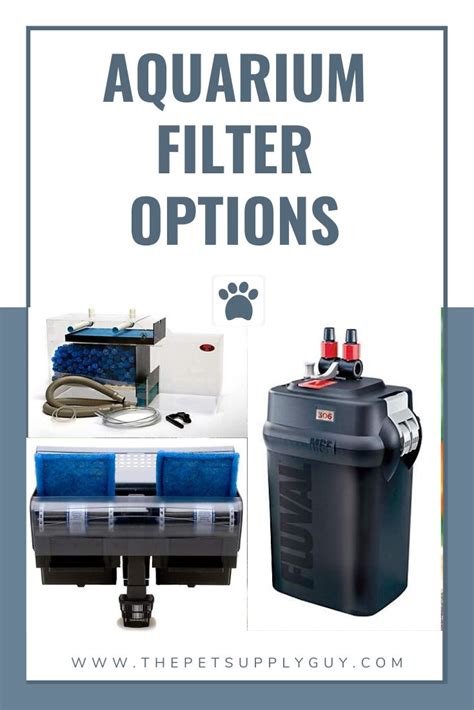 Types of Aquarium Filters - The Pet Supply Guy | Aquarium filter ...