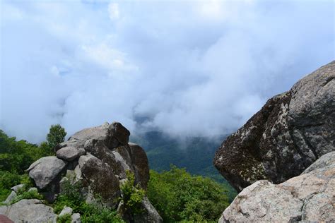 Best Hiking in Virginia: Sharp Top Mountain | Hiking in virginia ...