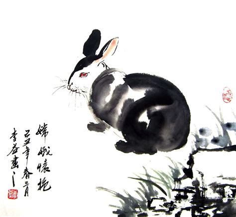 Chinese Rabbit Painting 0 4326014, 50cm x 50cm(19〃 x 19〃)