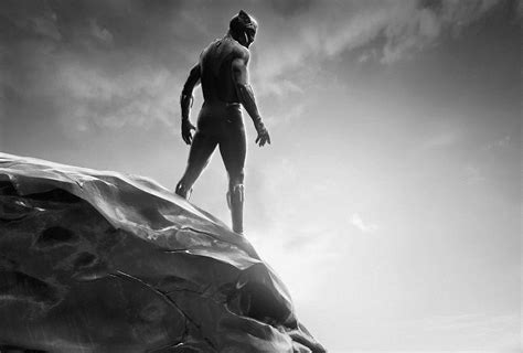 [2024] 🔥Black Panther Movie HD 4K Wallpaper / Desktop Background / iPhone & Android (1719x1161 ...