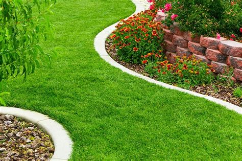 23 Cheap & Amazing Garden Edging Ideas You Can Try | Trees.com