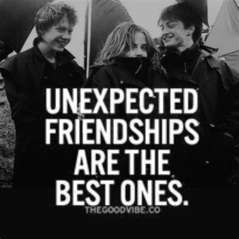 Harry Potter Friendship Quotes - ShortQuotes.cc