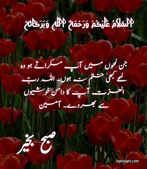 [30+] Beautiful Good Morning Wishes, Dua In Urdu Images - bqimages | Beautiful… | Good morning ...