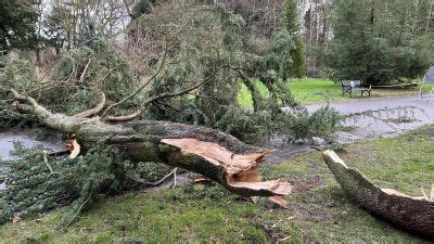 Storm Jocelyn brings further Northern Ireland disruption after Storm ...