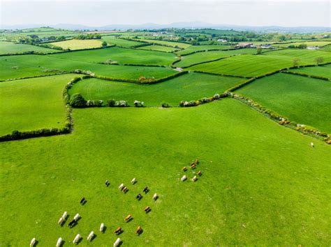 Greening Ireland’s Second Century: How Environmental Policy Has Emerged ...