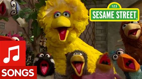 Sesame Street: Big Bird sings "That's Cooperation" - YouTube