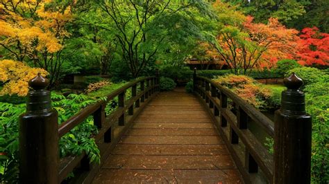 Tranquil Fall Bridge in a Japanese Garden - HD Wallpaper