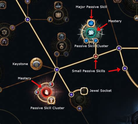 Beginner Guide to Path of Exile: Learning the Passive Tree - PoE Vault