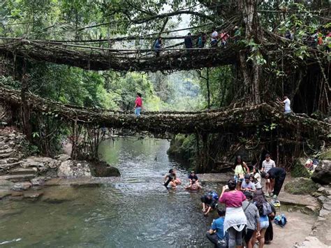 Places to visit in Meghalaya, a Himalayan state in the northeast - Voices Shortpedia