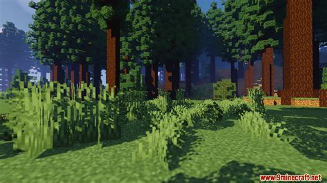 A Day in the Forest Map 1.15.2 for Minecraft - 9Minecraft.Net