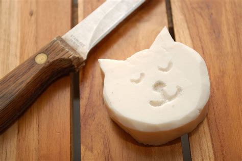 Make a Soap Carving | Soap carving, Boy craft and Animal crafts