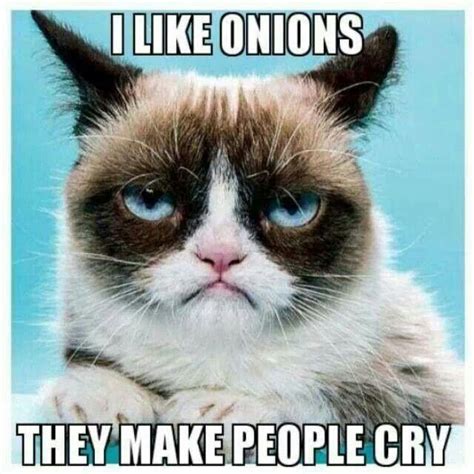 I like onions, they make people cry. | Grumpy cat, Grumpy cat humor ...