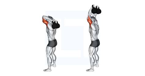 Kettlebell Overhead Triceps Extension - Guide, Benefits, and Form