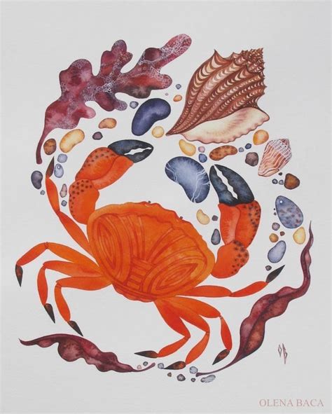 Crab Art/ ORIGINAL Watercolor Painting/ Sea Shell/ Ocean/ | Etsy