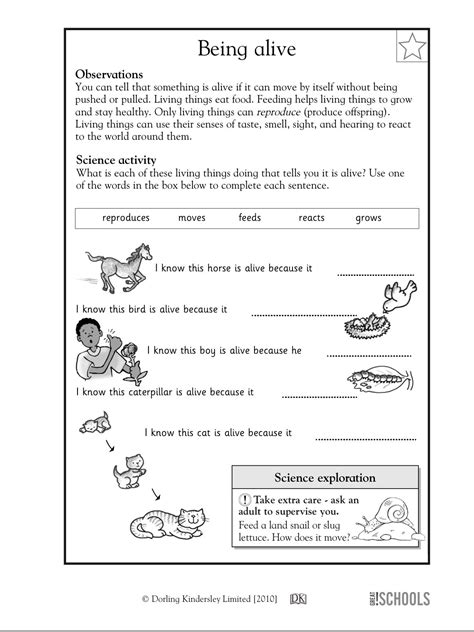 10th Grade Science Worksheets