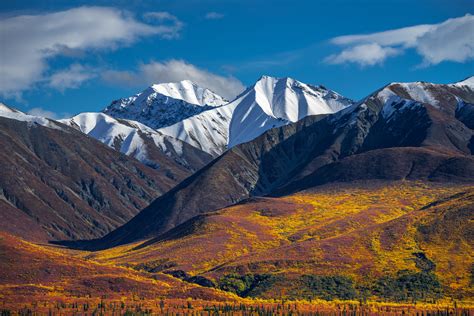 Alaska Snow-capped Mountains Above Fall Color Tundra Photo | Photos by ...