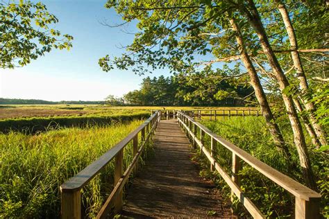 Biddeford, Maine, Has Some of the Best Beaches in the State — How to Plan the Perfect Visit