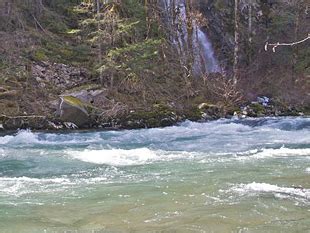 Columbia River Fishing Map - Columbia River Fishing Guide Dan Ponciano