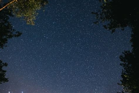 Starry Sky · Free Stock Photo