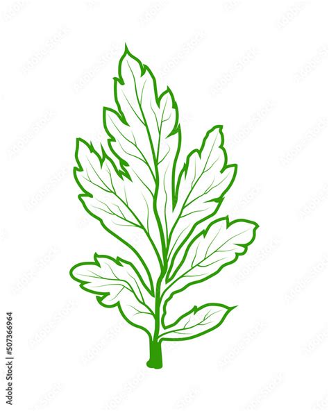 leaf veins texture. green leaf veins vector illustration. silhouettes ...